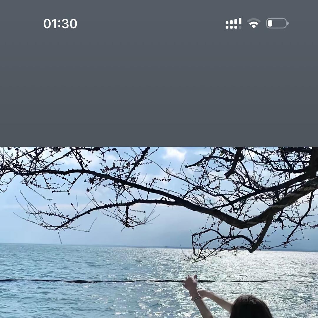 凤阁铭