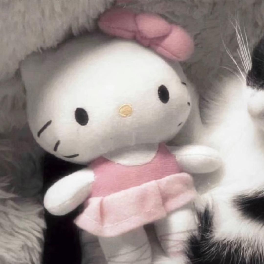 讨厌吃香菜（减肥版）