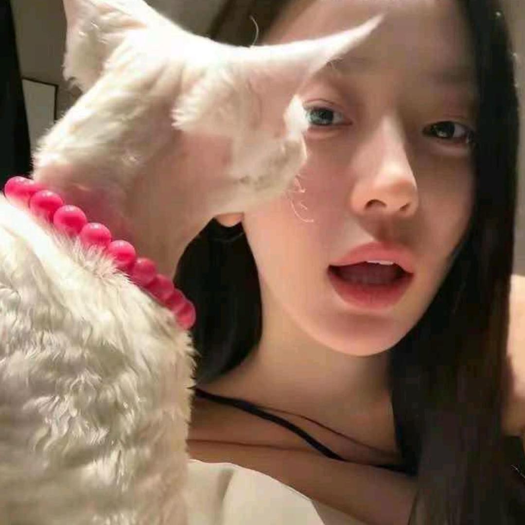 咪咪