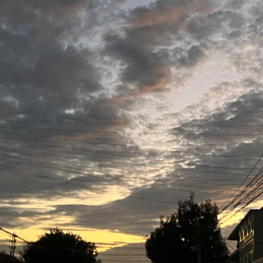 梁上燕