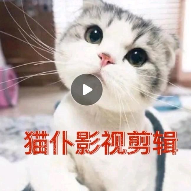 猫仆怀旧（好物好玩推荐）