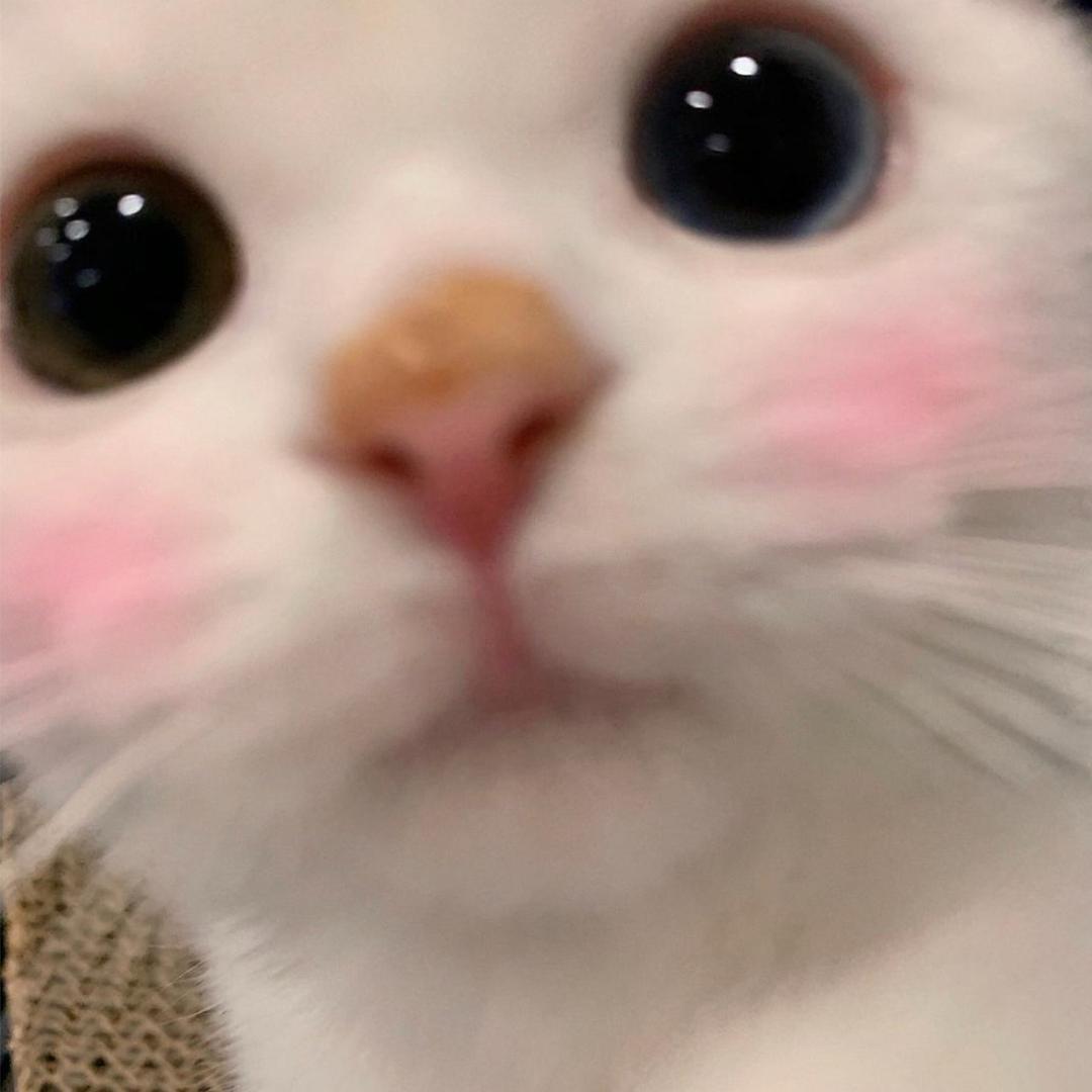 小黑✌︎' ֊'