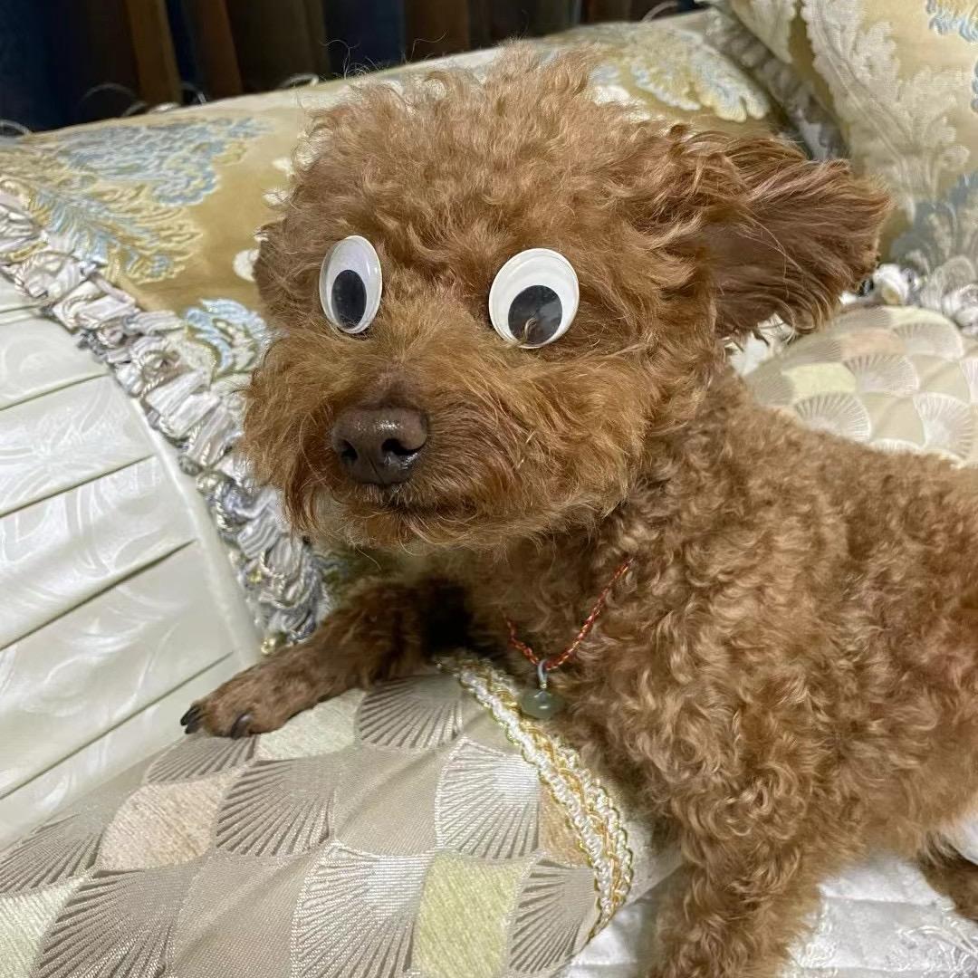 一介俗人！
