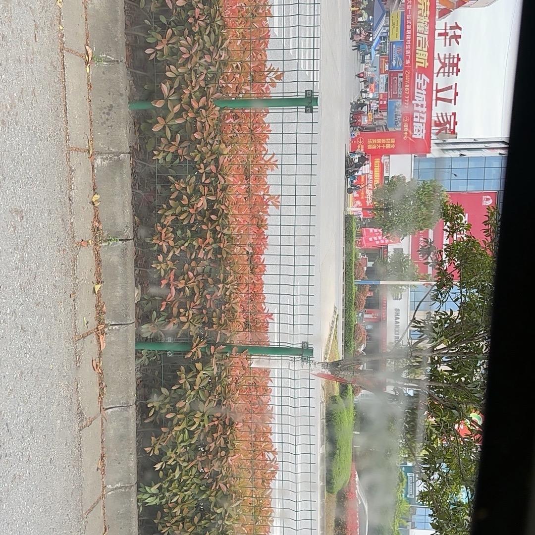 用户840305444天天好心情