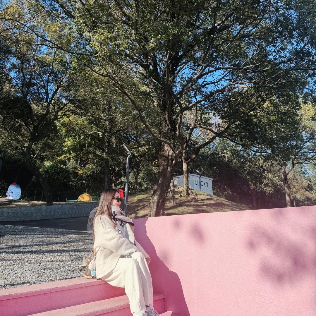 忻忻✨✨