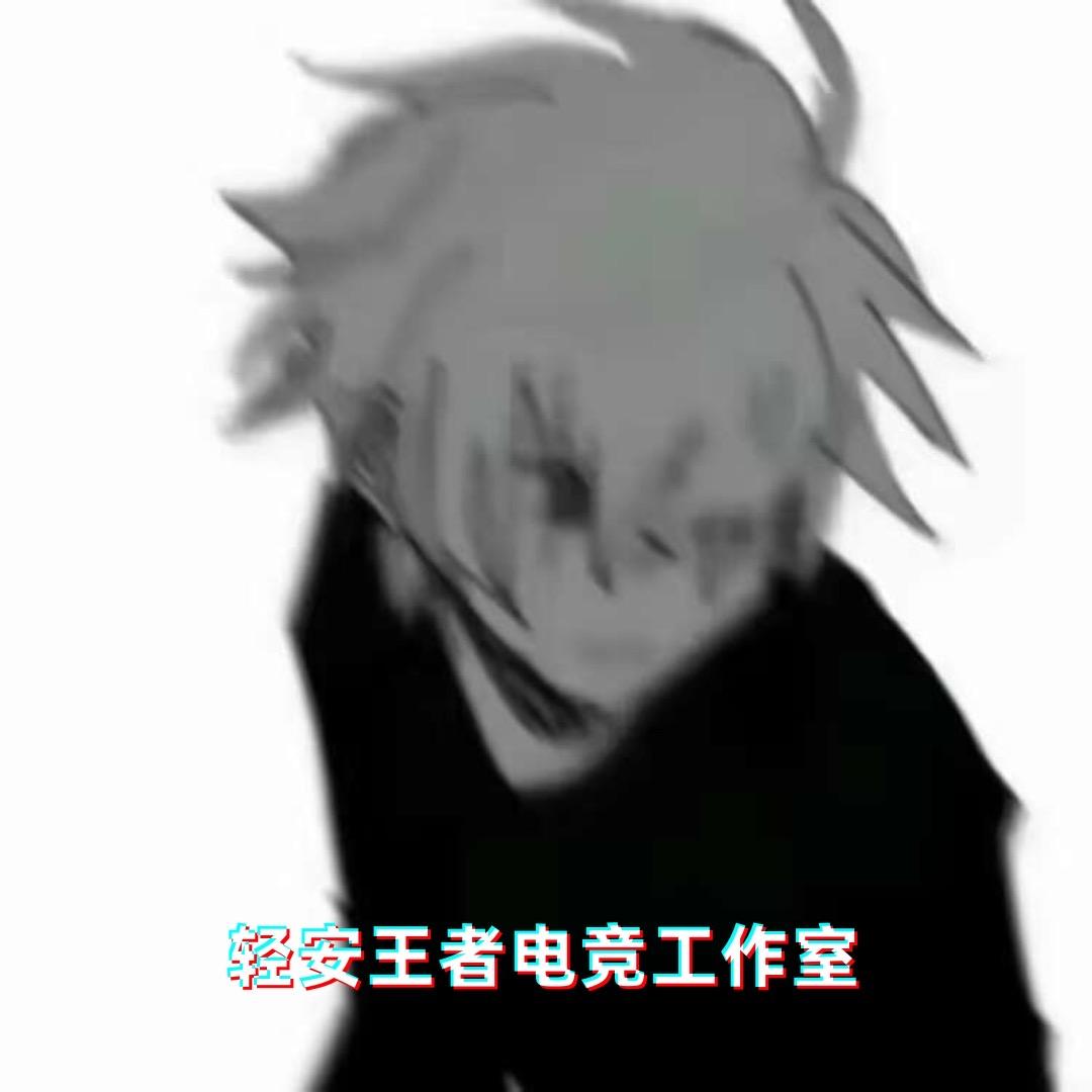 轻安电竞工作室（加简介v扫码打）
