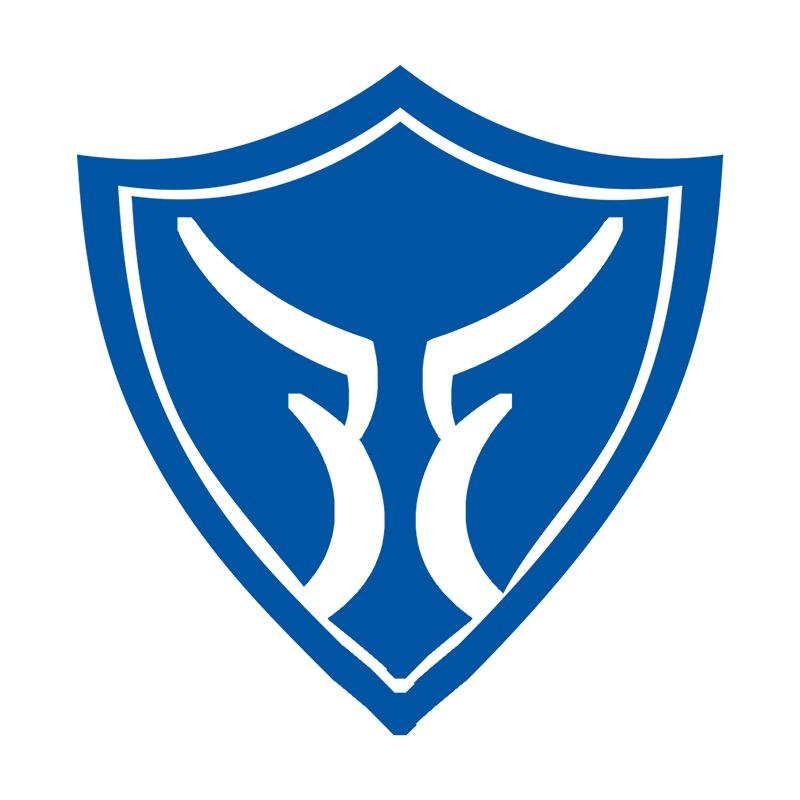 摩虎