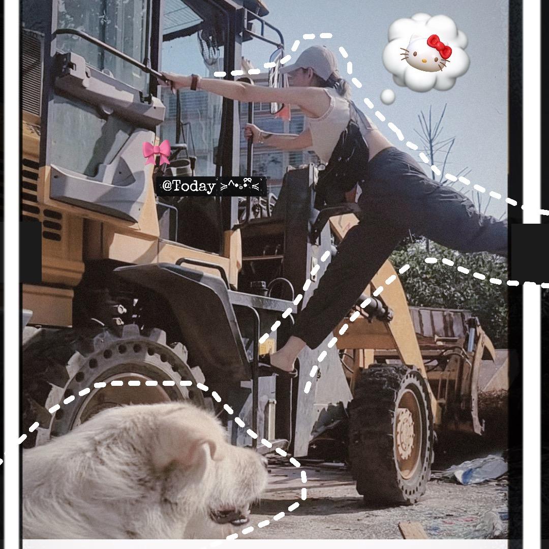 板姐的劈叉人生