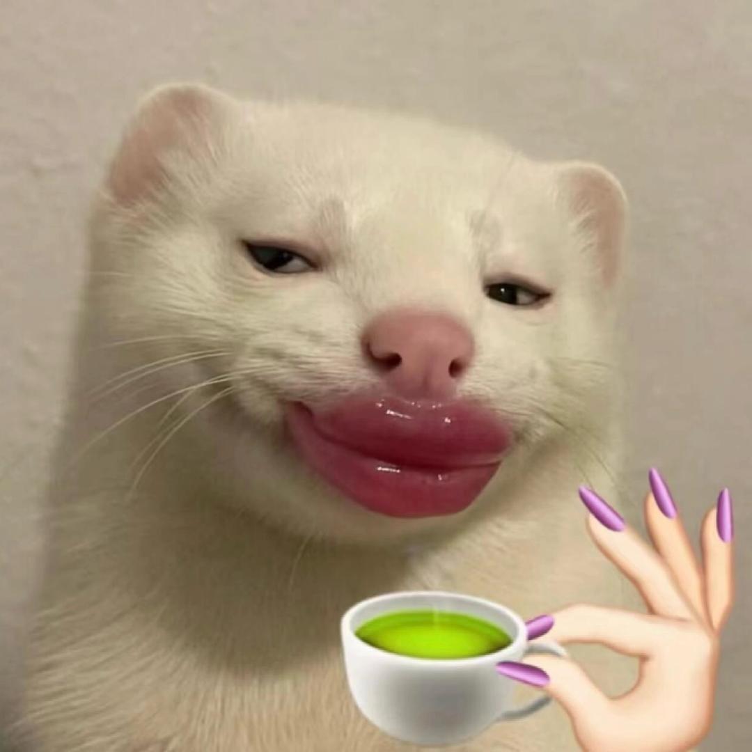 🌙真是妙啊