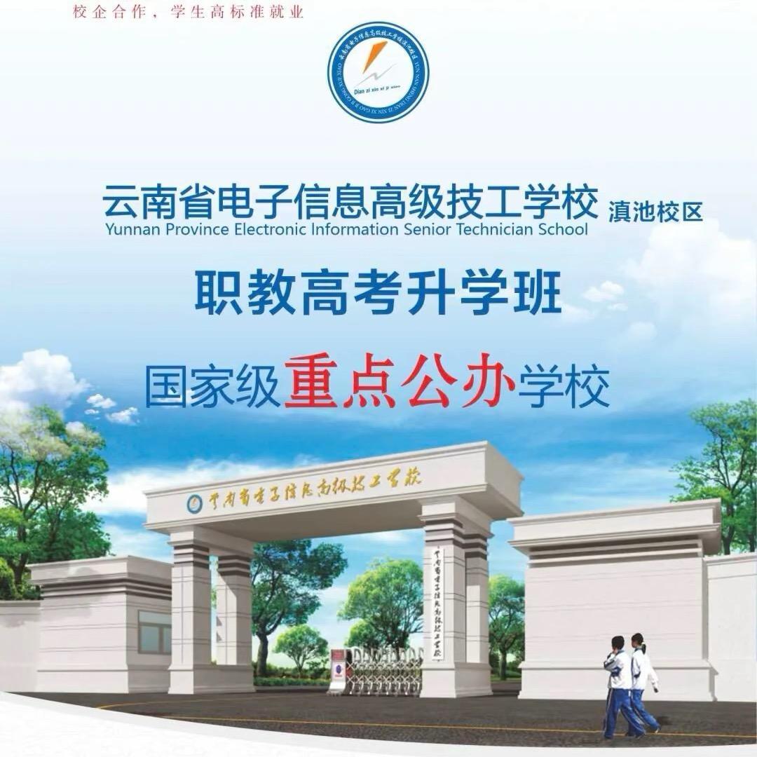 杨老师说教育