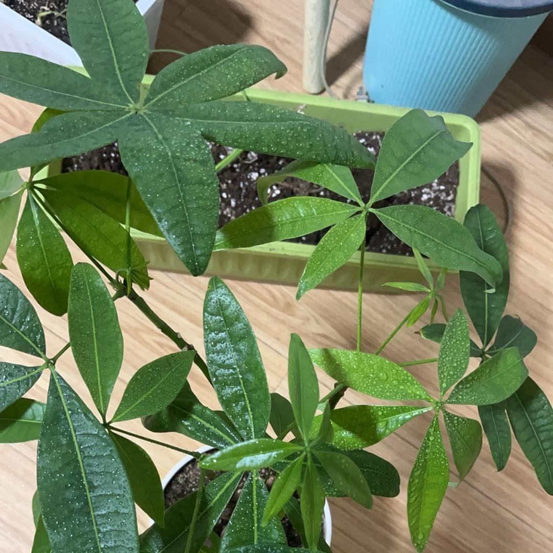 顺其自然