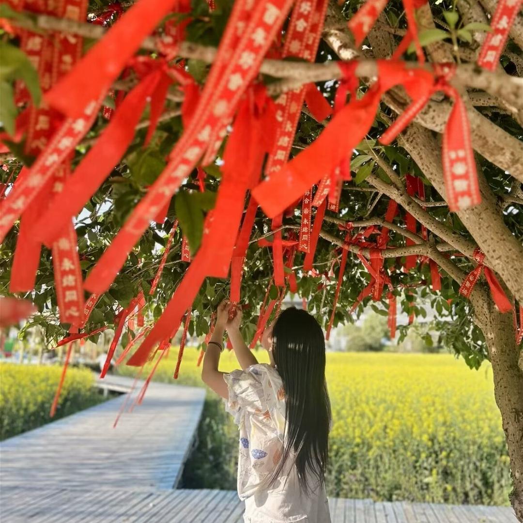 小曾要加油z