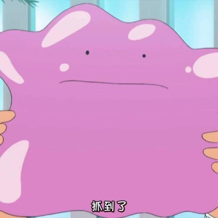 糖醋排骨鱼