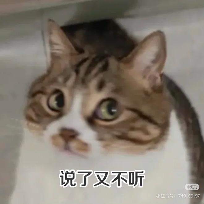 小李不书