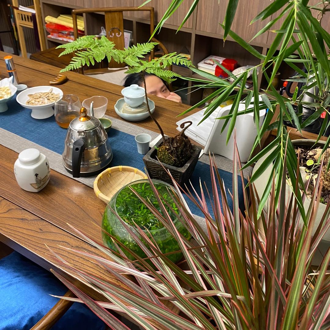 奔奔百货灵感酷