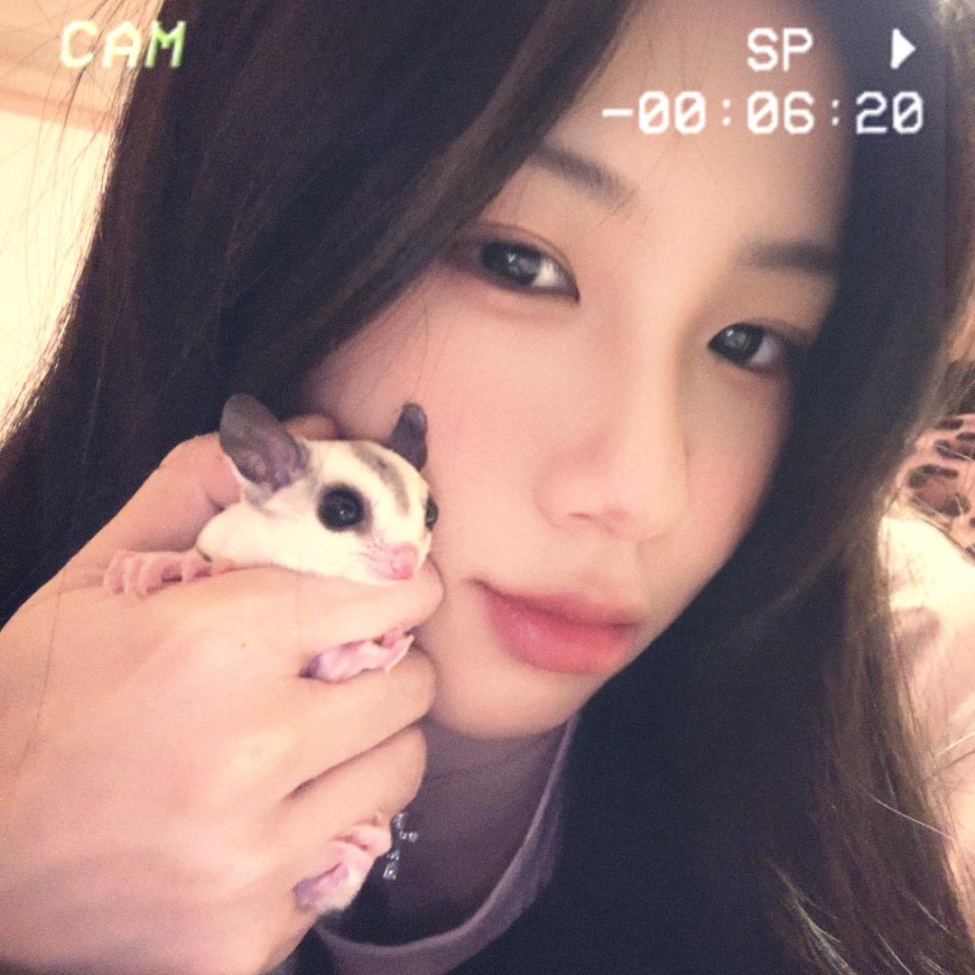 猫九(恩施小薄荷)