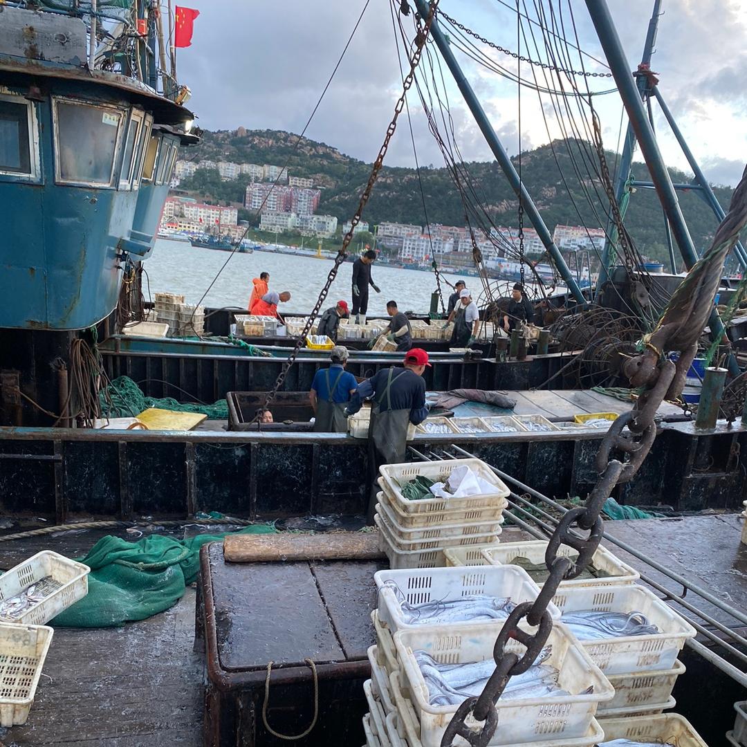 海鲜源头.新鲜