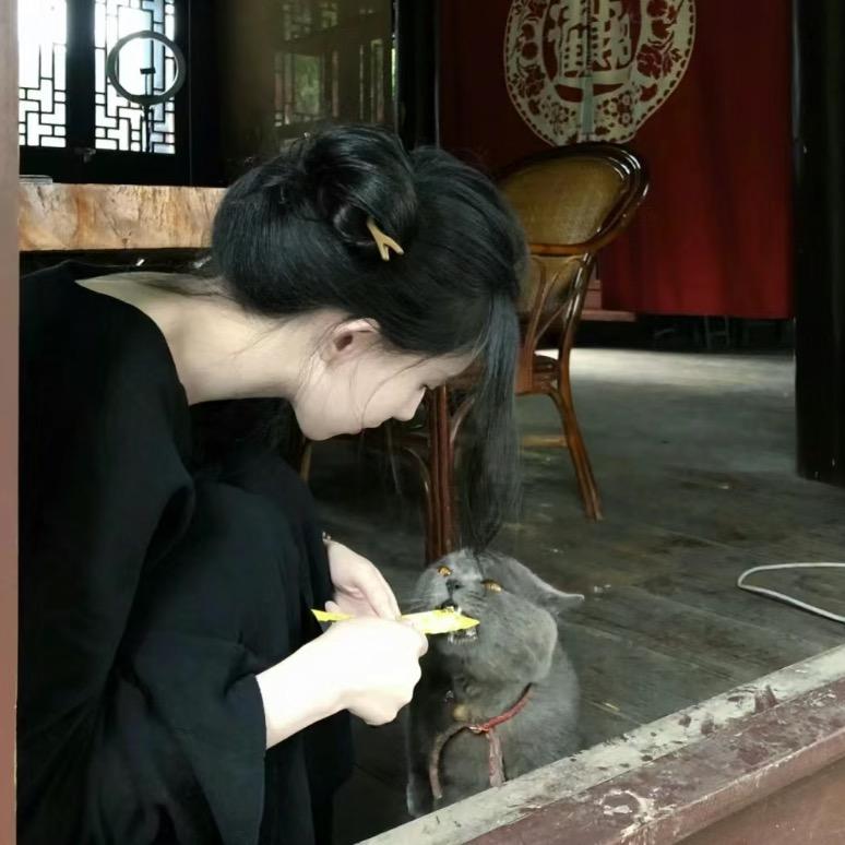 小圆