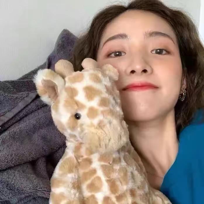 小熊来啦🐻