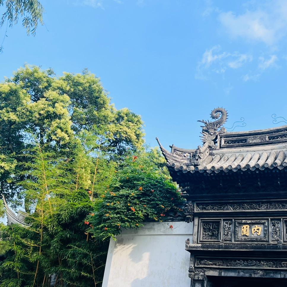 陈林芳