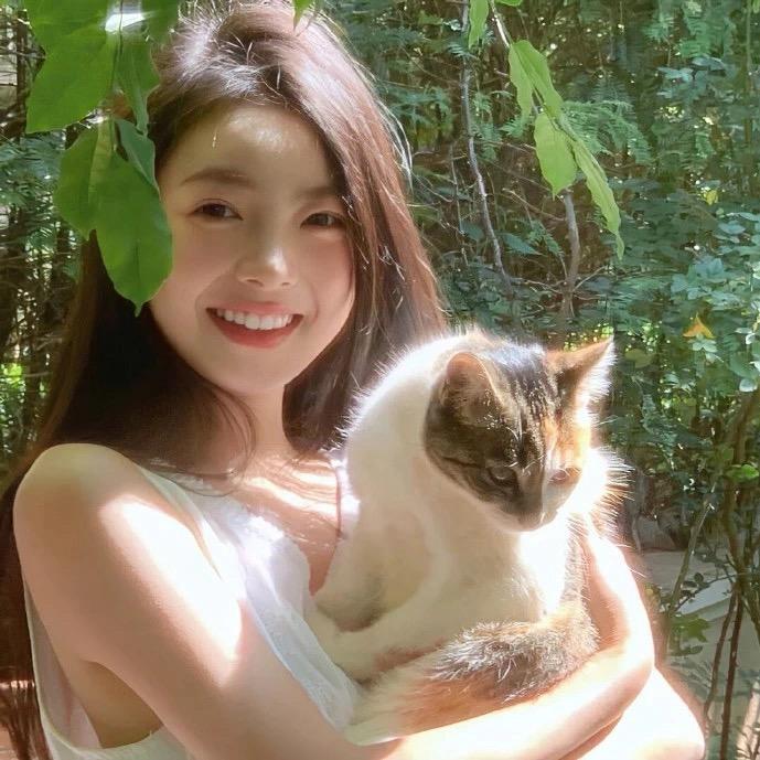 一只随风的猫