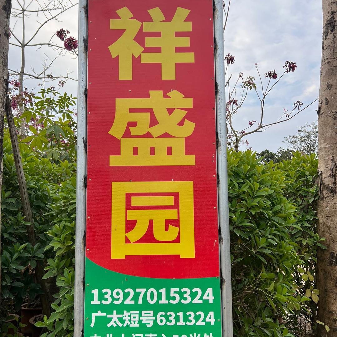 难得相逢
