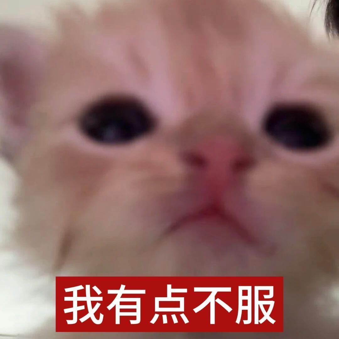 咸咸的眼泪(´▽｀)