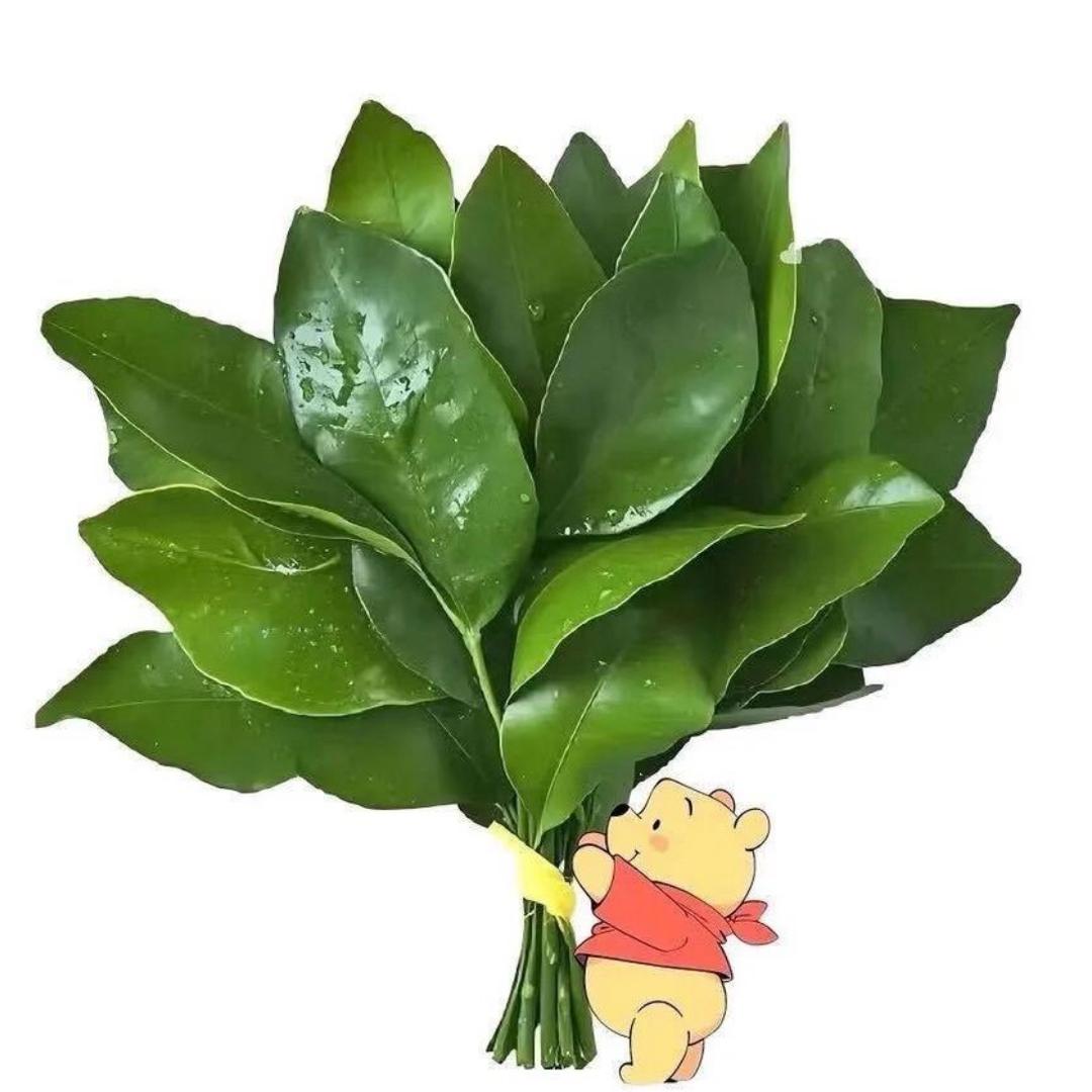 妖妖.🫐