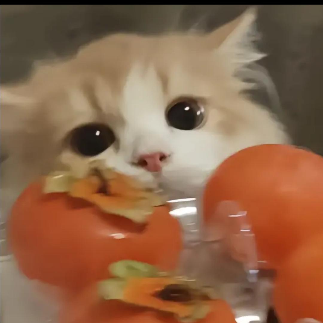 ‍？