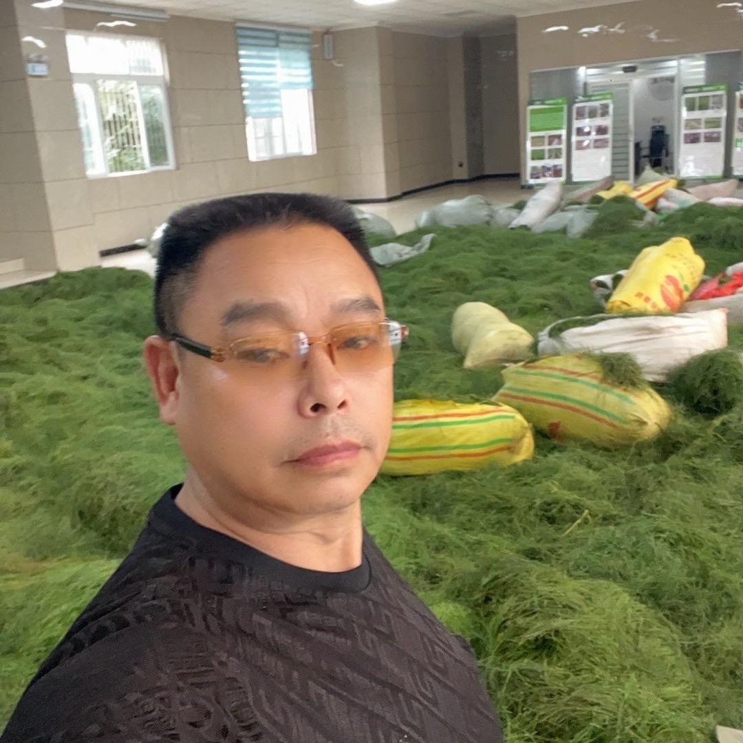 刘哥药材种植9