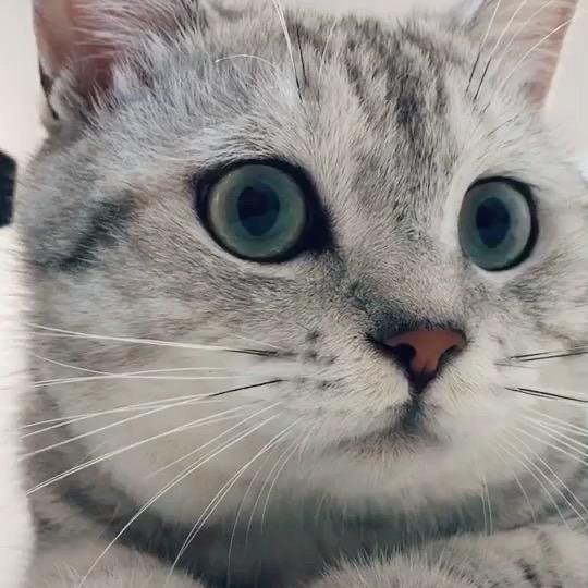 易怀沙