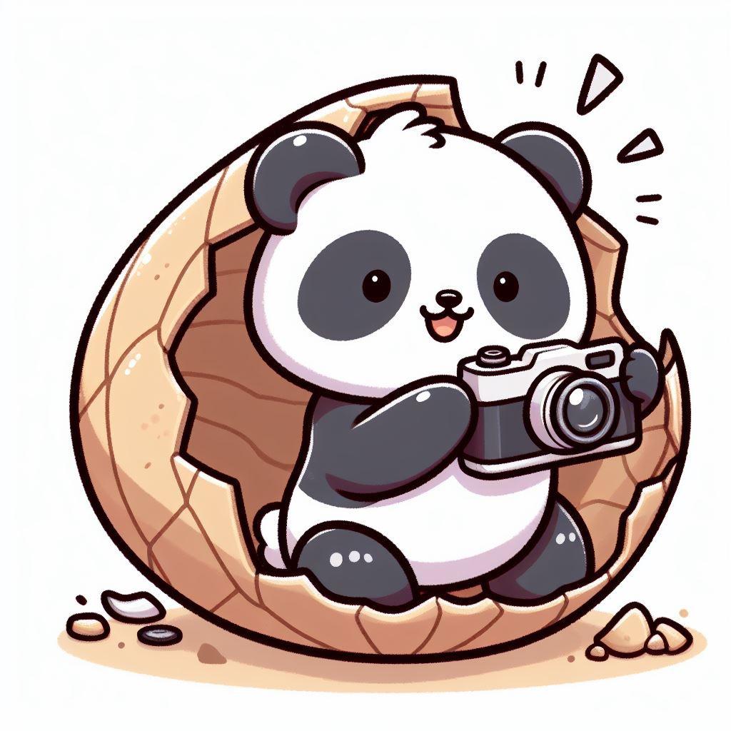 大熊篮球