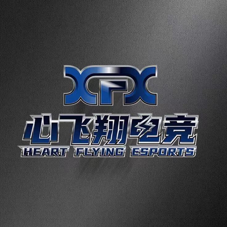 心飞翔电竞（融融店）