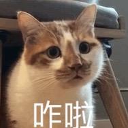 何处春江无月明