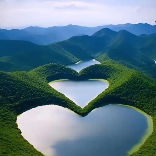 小福团购