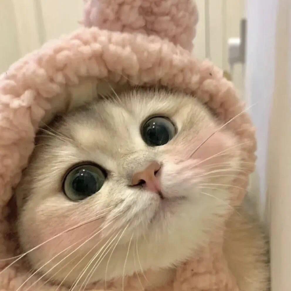 🍑夜森"头像