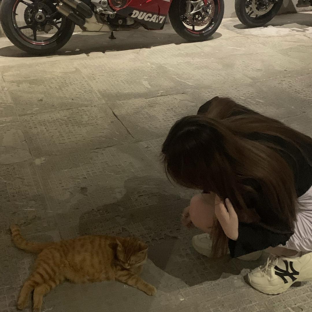 乔梦娇-
