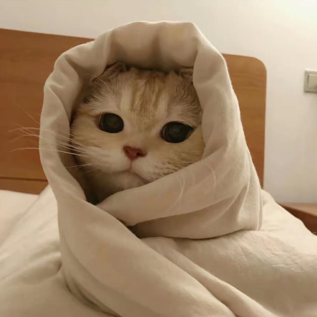 ˶˙⚇˙˶