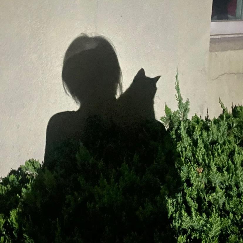 静姐和她的猫🍀