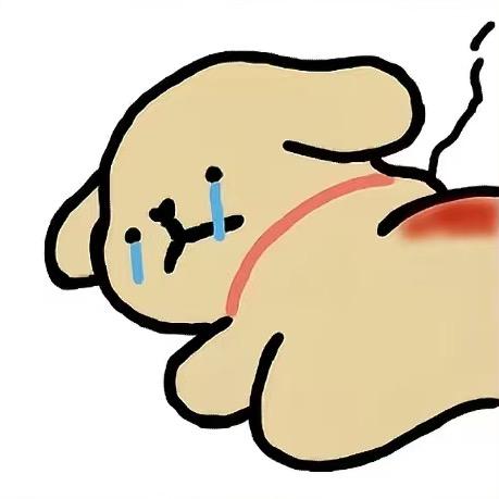 酷库的熊🐻