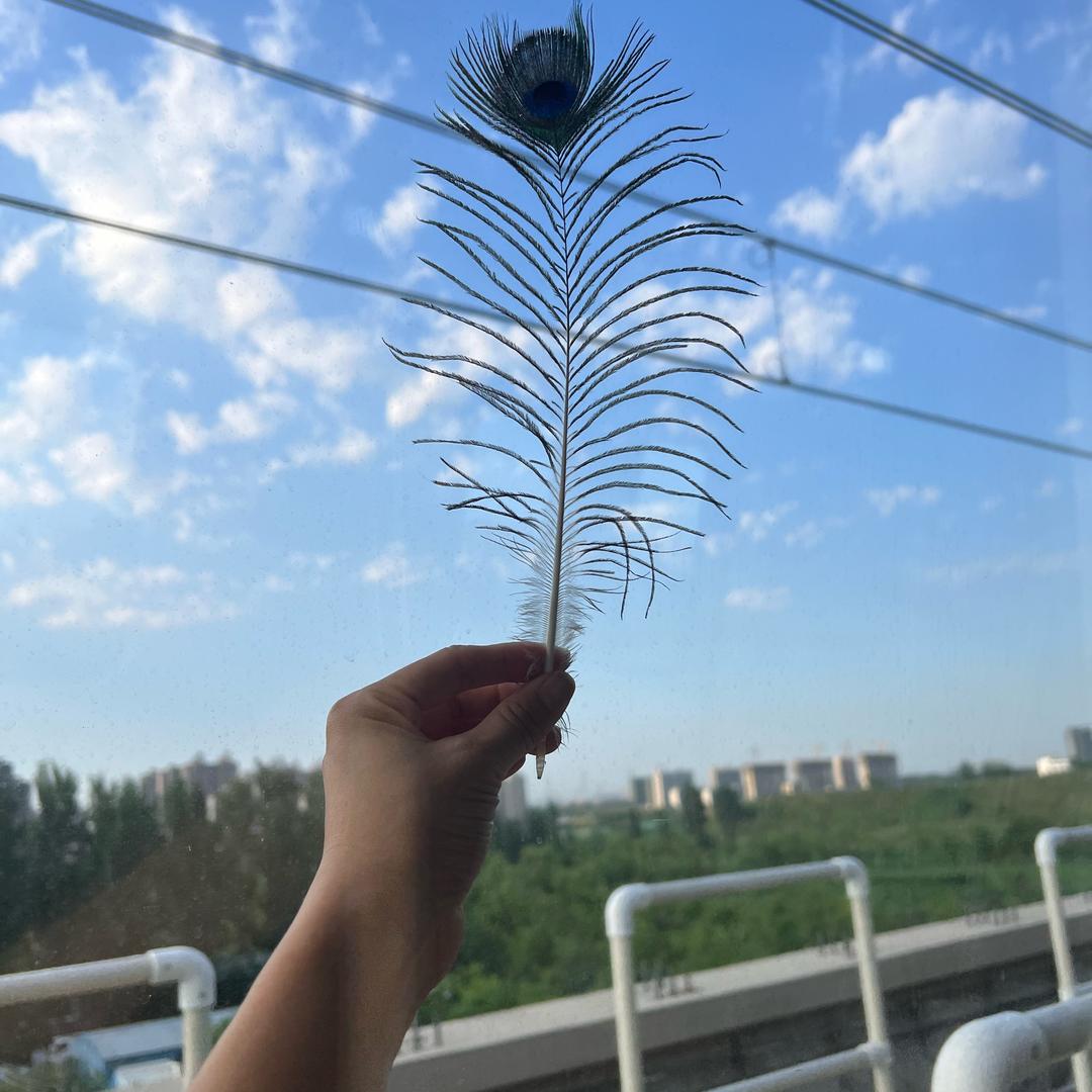 ꧔ꦿ᭄²⁰²6满眼🍃星辰💕