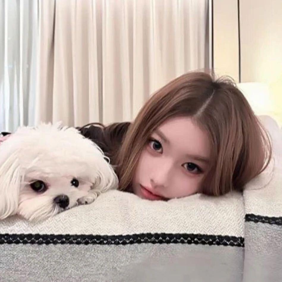 Fan💤