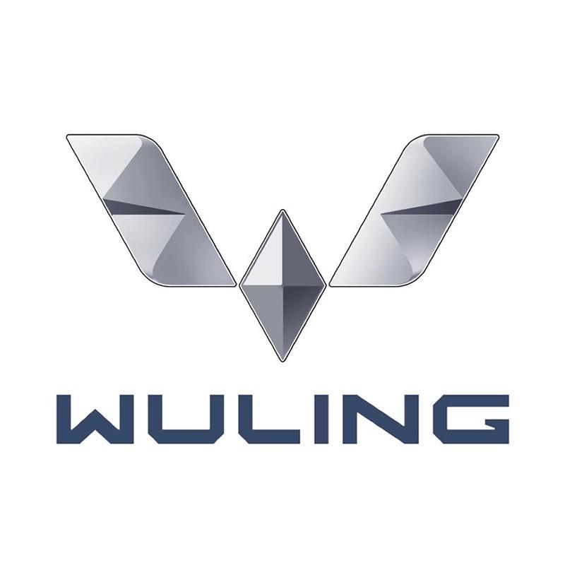 西藏瀚德实业有限公司