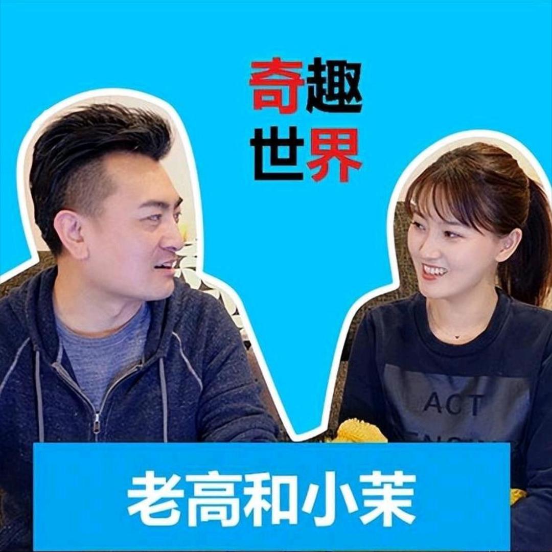 老高与小莉