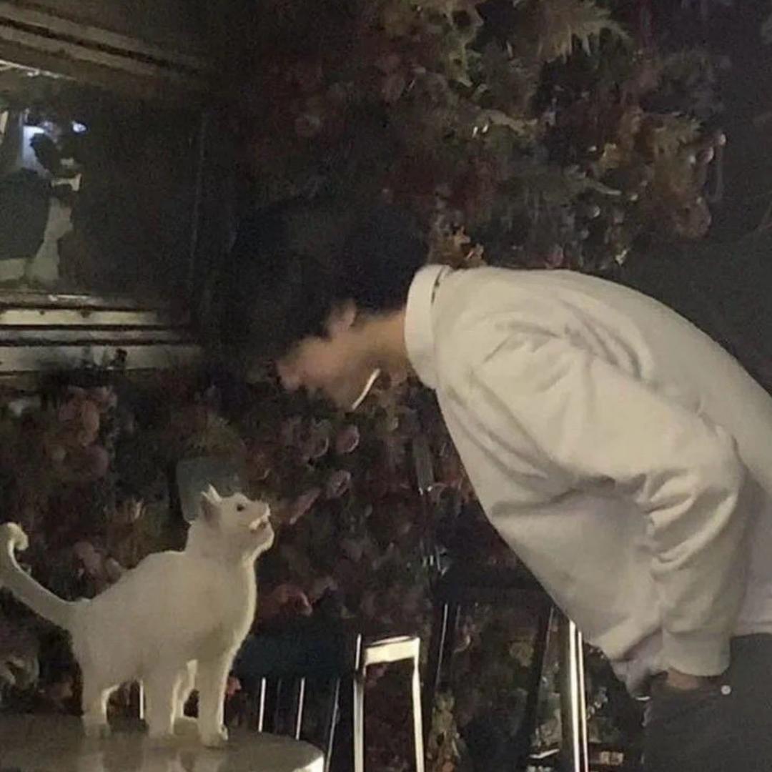 不该