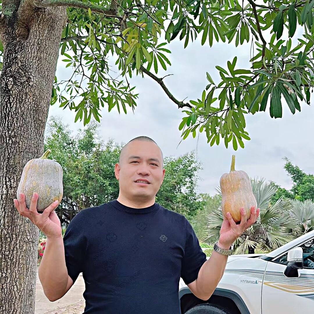 A天涯
