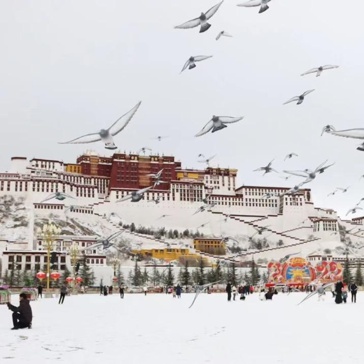 虎哥在Lhasa