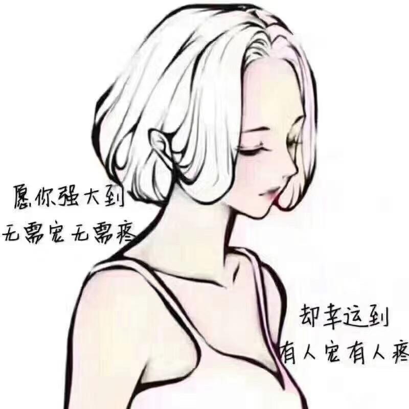 清心雅逸