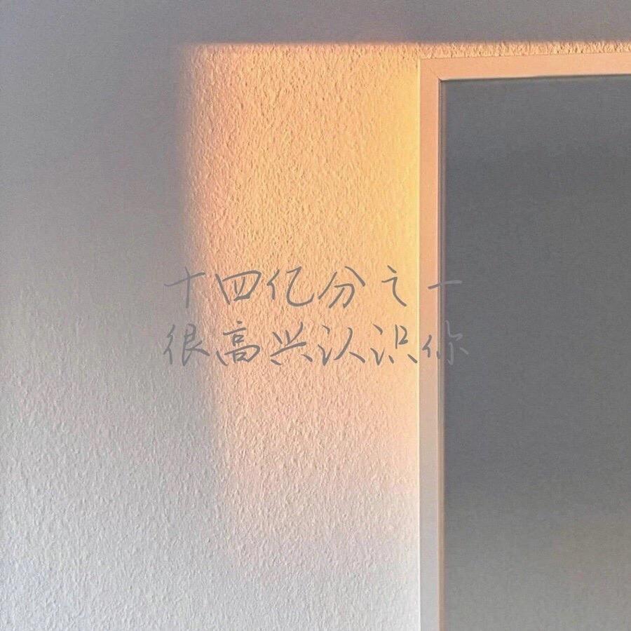 王先生家的小漂亮