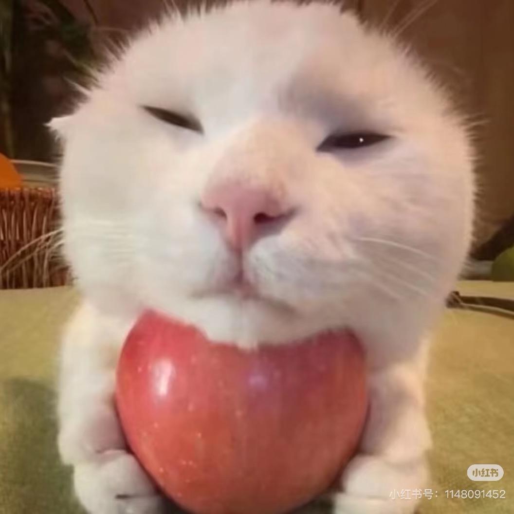 漂亮🥚